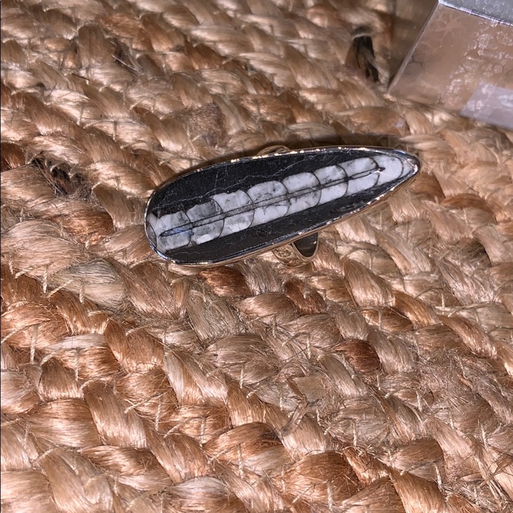 Orthoceras (bones) ring